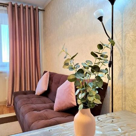 Apartment На Стрелке С Красивым Видом На Иртыш Ustʼ-Kamenogorsk المظهر الخارجي الصورة