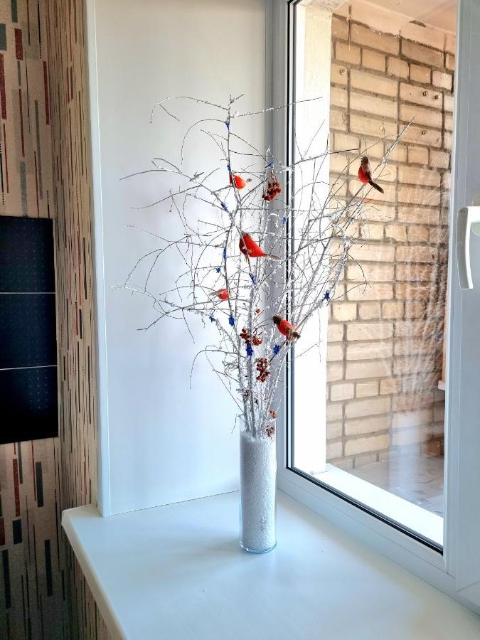 Apartment На Стрелке С Красивым Видом На Иртыш Ustʼ-Kamenogorsk المظهر الخارجي الصورة