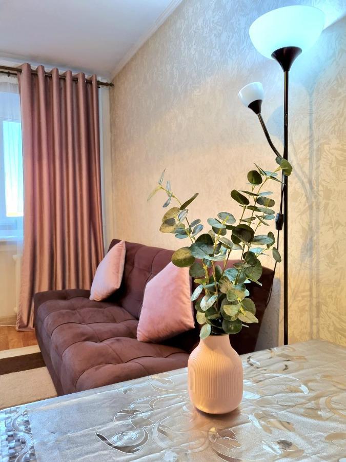 Apartment На Стрелке С Красивым Видом На Иртыш Ustʼ-Kamenogorsk المظهر الخارجي الصورة